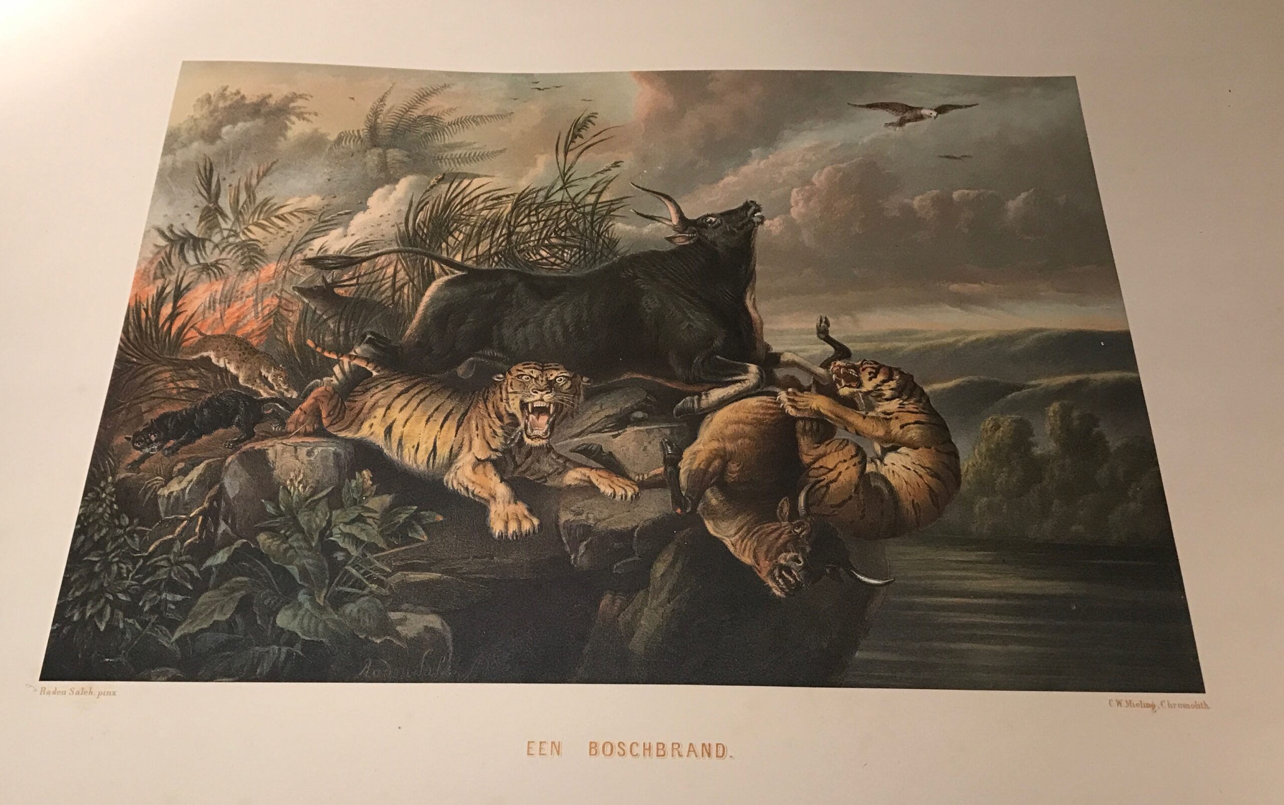 De Indische Archipel by C.W. Mieling (1865-1876)