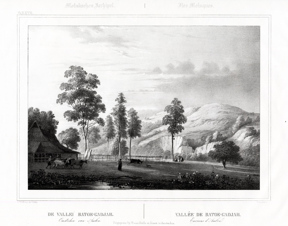 Pl.XXVII Molukschen Archipel - De Vallei Batoe-Gadjah (..) - Van de Velde (1844)